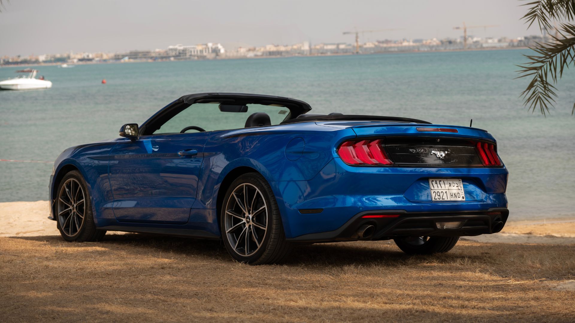 Ford Mustang 2019